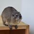 ＫＢＣペットワールド専門学校 動物のプロを目指そう！動物ふれあいスペシャル☆4