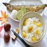 \調理・製菓・栄養3分野合同イベント/辻学園 秋の味覚祭!の詳細
