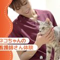大阪ＥＣＯ動物海洋専門学校 ネコちゃんの看護師さん体験