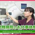 ＴＣＡ東京ＥＣＯ動物海洋専門学校 動物病院のお仕事体験