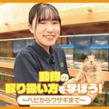 動物の取り扱い方法を学ぼう！～ヘビからウサギまで～／ＴＣＡ東京ＥＣＯ動物海洋専門学校
