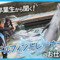 ＴＣＡ東京ＥＣＯ動物海洋専門学校 卒業生から聞くドルフィントレーナーのお仕事