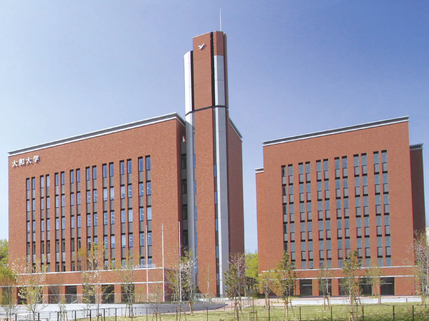 大和 大学 偏差 値