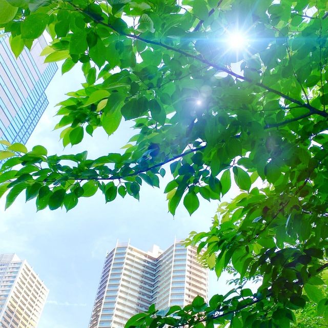 東京環境工科専門学校 『暑い夏の過ごし方　～植物編～』体験授業を同時開催！3