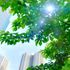 東京環境工科専門学校 『暑い夏の過ごし方　～植物編～』体験授業を同時開催！3