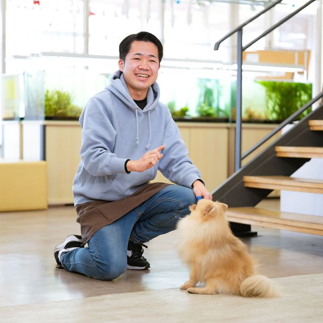 高崎動物専門学校 【ドッグトレーナー】しつけの基本「マテ」の教え方を学ぼう！2