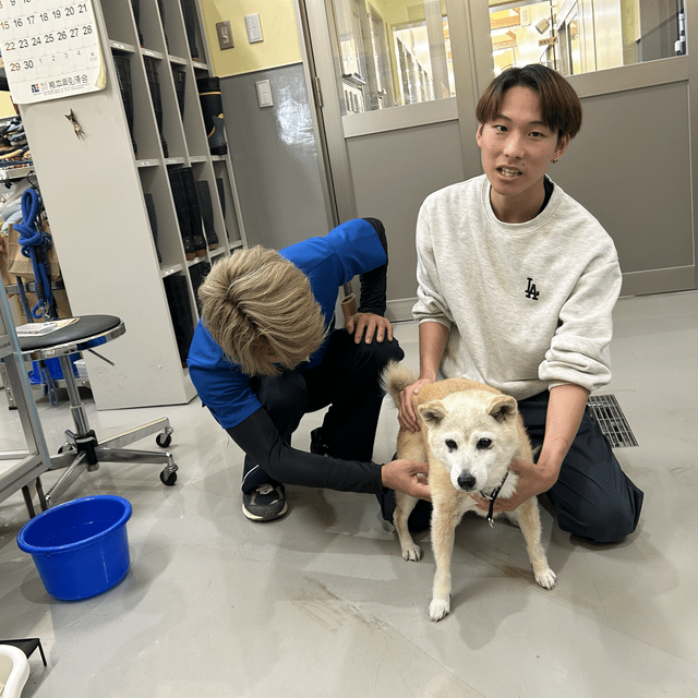 九州動物学院 第3回　夢の動物業界に羽ばたいて！・働いて今を語る！4