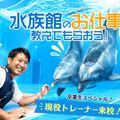 ＴＣＡ東京ＥＣＯ動物海洋専門学校 水族館のお仕事を教えてもらおう！