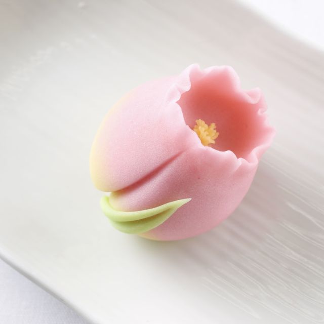 東京製菓学校 ３月　じっくり体験DAY！【和菓子コース】1