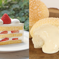 専門学校ビジョナリーアーツ よくばりショートケーキ×カスタードメロンパン