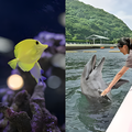 専門学校　福岡ビジョナリーアーツ 【ペット】水族館×ドルフィントレーナーよくばり体験
