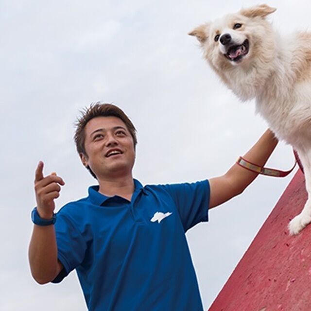 ＴＣＡ東京ＥＣＯ動物海洋専門学校 ドッグスポーツ日本代表が伝授！ドッグトレーニング体験1