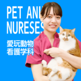 【愛玩動物看護学科】可愛いわんにゃんと一緒に看護師体験の詳細