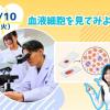 東京医学技術専門学校 【臨床検査技師/1時間】学費っていくら？分割ってできるの！？