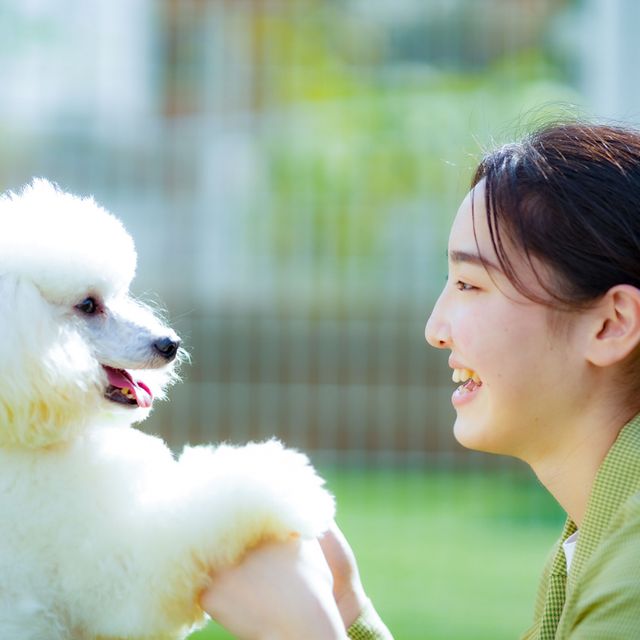 高崎動物専門学校 【特別プログラム】いざというとき動物を守る防災SPECIAL1