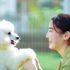 高崎動物専門学校 【特別プログラム】いざというとき動物を守る防災SPECIAL1