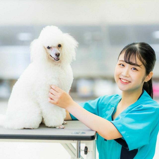 充実のオープンキャンパス 河原アイペットワールド専門学校のオープンキャンパス情報と予約申込 スタディサプリ 進路