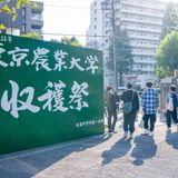 大学説明会(世田谷キャンパス収穫祭)の詳細