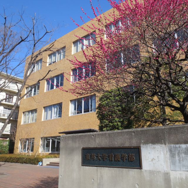 東邦大学 東邦大学　オープンキャンパス（看護学部）1