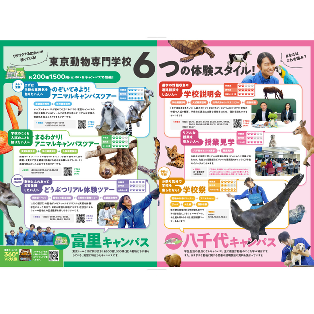 東京動物専門学校 体験度MAX！　動物とふれあう　どうぶつリアル体験ツアー2