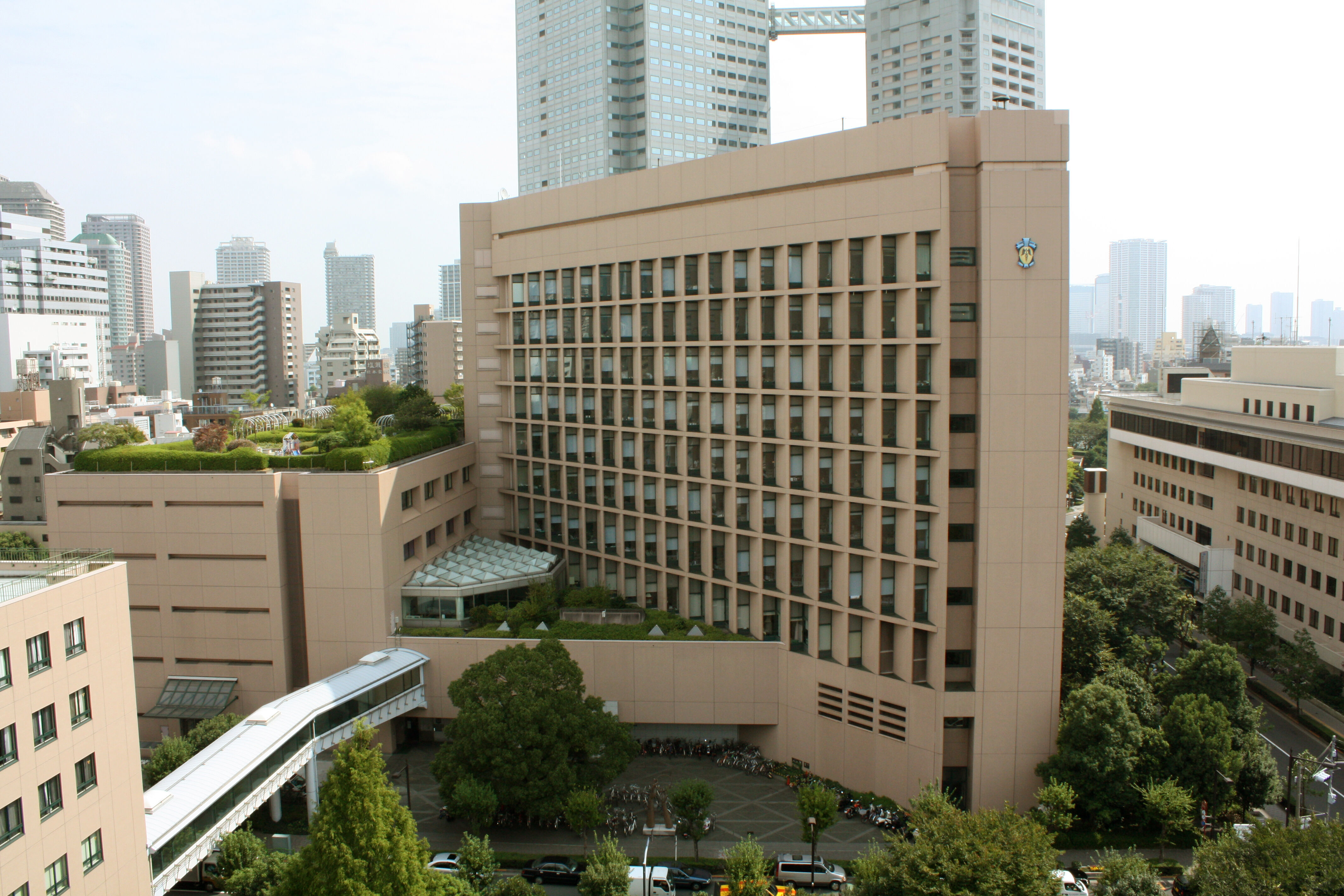 聖 路 加 国際 大学