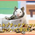 ＴＣＡ東京ＥＣＯ動物海洋専門学校 エキゾチックアニマルについて学ぼう