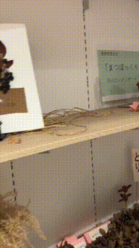 OCカメラサムネイル画像