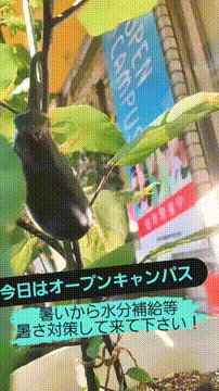 OCカメラサムネイル画像