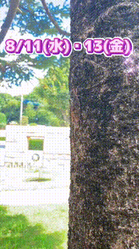 OCカメラサムネイル画像