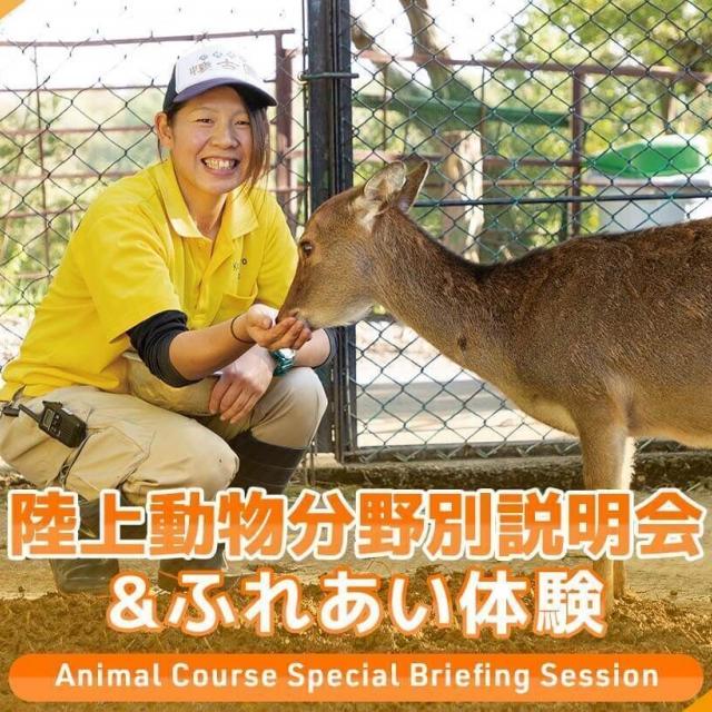 ＴＣＡ東京ＥＣＯ動物海洋専門学校 陸上動物分野別説明会＆ふれあい体験1