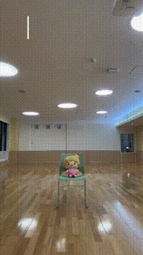 OCカメラサムネイル画像