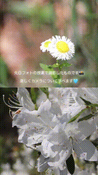 OCカメラサムネイル画像