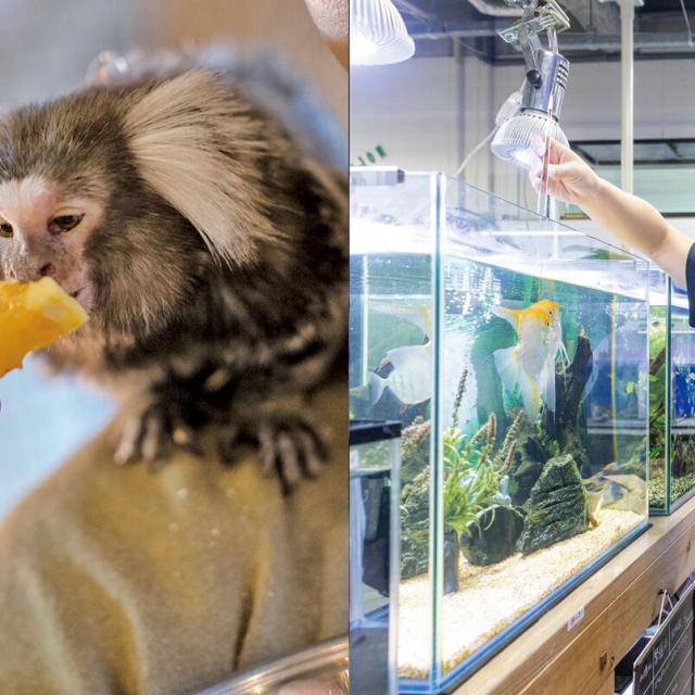専門学校　福岡ビジョナリーアーツ 【ペット】動物園飼育員 × 水族館飼育員1