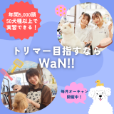 年間5,000頭50犬種以上のわんちゃんでトリマーを目指す！の詳細
