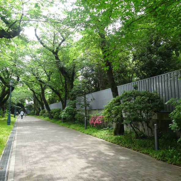 トップ 100 学習院 女子 短期 大学 偏差 値 画像ブログ