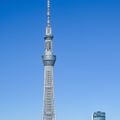 専門学校　東京テクニカルカレッジ 【建築監督科】スカイツリーが震度6でも倒れない秘密とは？