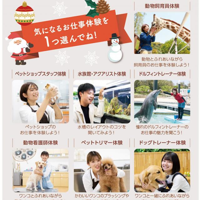 福岡ＥＣＯ動物海洋専門学校 アニマルクリスマスパーティー2