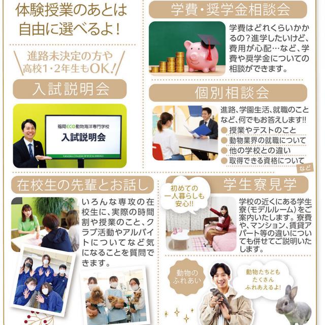 福岡ＥＣＯ動物海洋専門学校 アニマルクリスマスパーティー3
