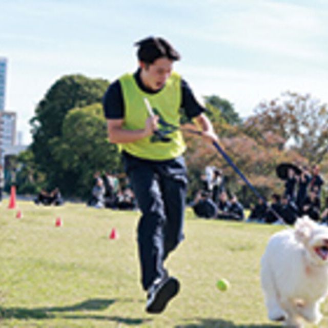 専門学校ビジョナリーアーツ DREAM CLASS ★ 【ワンコ】担当犬と運動会！1