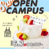 【洋菓子】ウエディングケーキ(２段）の詳細