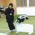 愛知ペット専門学校 ドッグトレーナーお仕事体験　大型犬訓練ＳＰ2