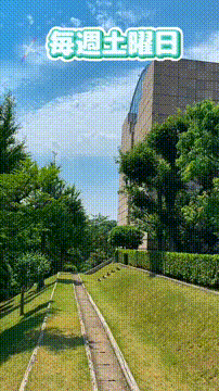 OCカメラサムネイル画像