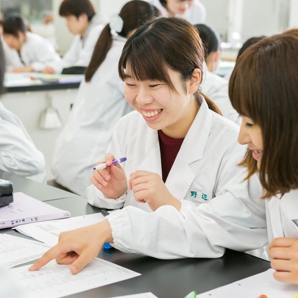 南九州大学 資料請求 願書請求 学校案内 スタディサプリ 進路