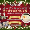 専門学校　ちば愛犬動物フラワー学園 【オープンキャンパス】 ～クリスマススペシャル～