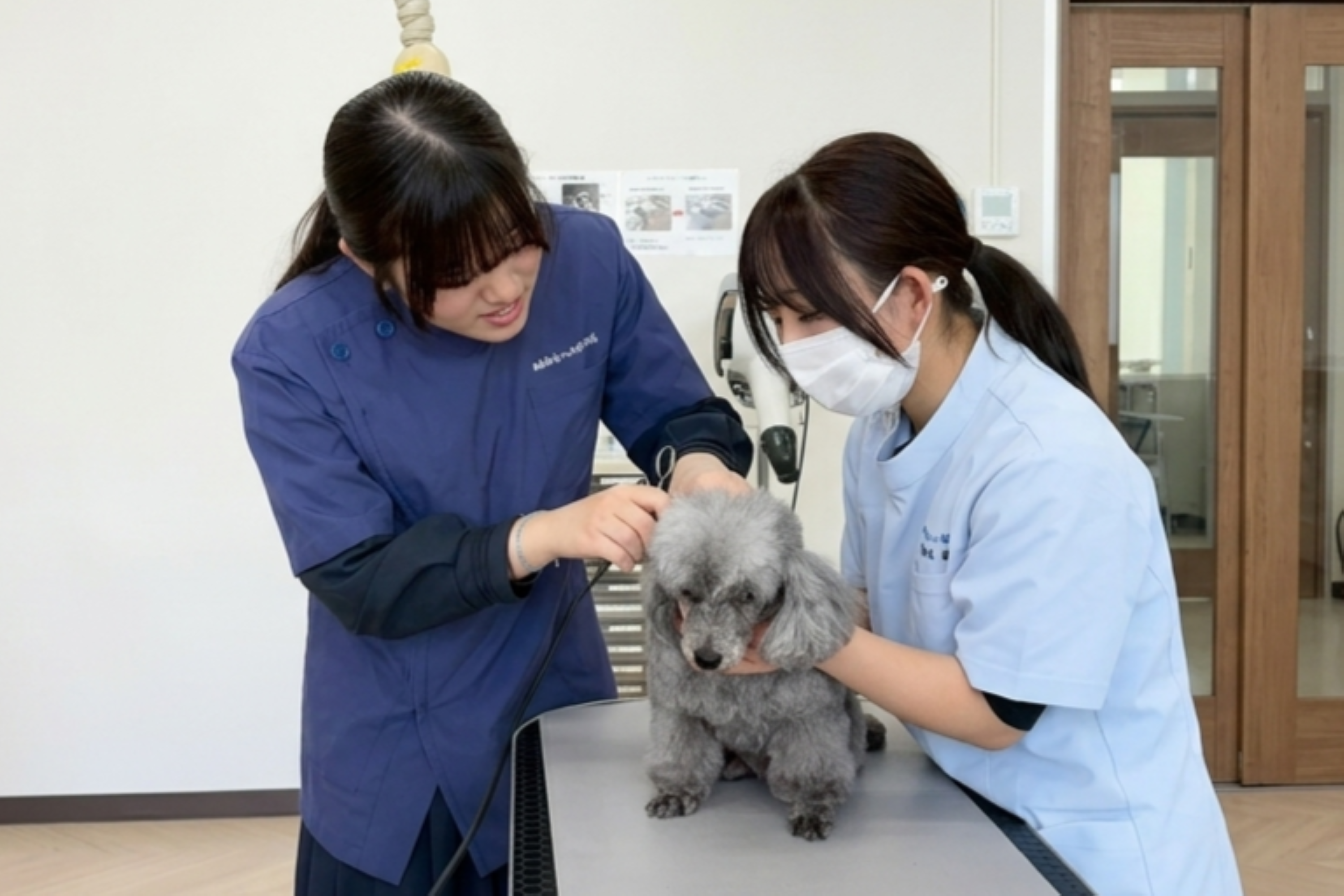サブ画像