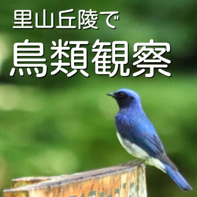 日本自然環境専門学校 【自宅で見れる！】一番人気の野外実習を見よう！4