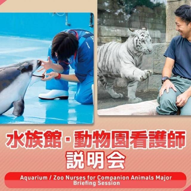 ＴＣＡ東京ＥＣＯ動物海洋専門学校 水族館・動物園看護師説明会1