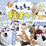 もふもふ秋まつりの詳細