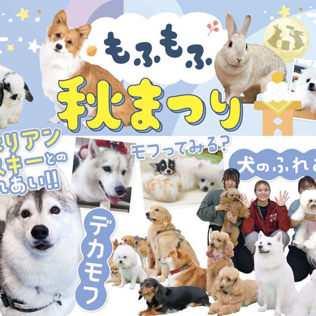 福岡ＥＣＯ動物海洋専門学校 もふもふ秋まつり1