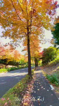 OCカメラサムネイル画像